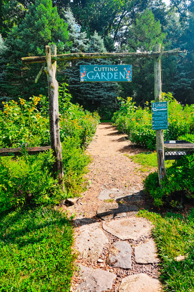 cutting garden at Solebury Orchards